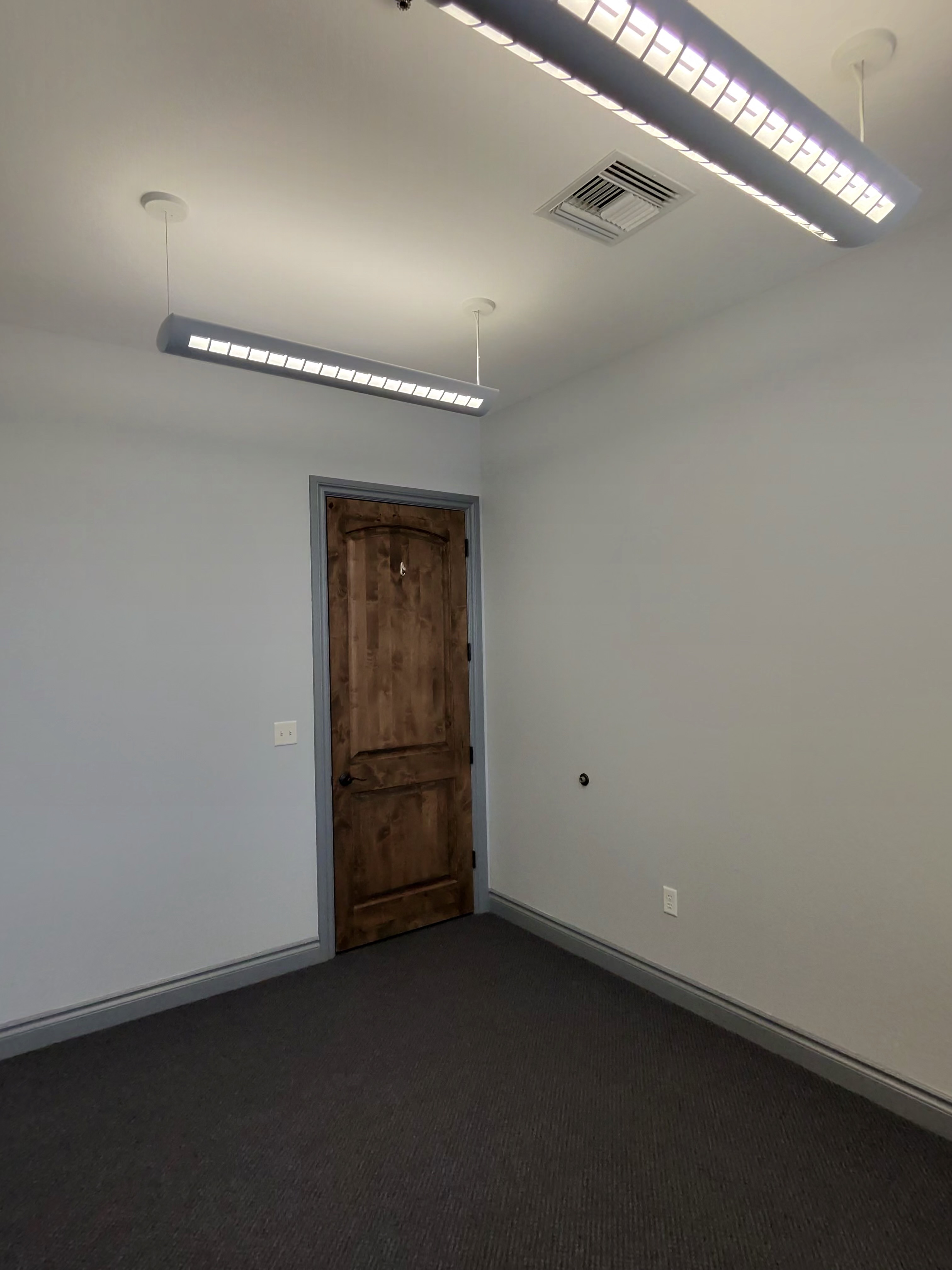 Commercial office wood door